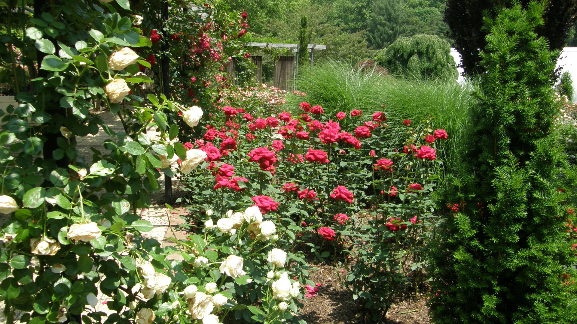 Brookside Gardens/  