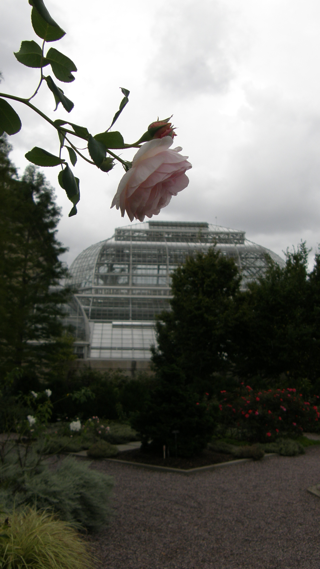   US Botanic Garden Washington